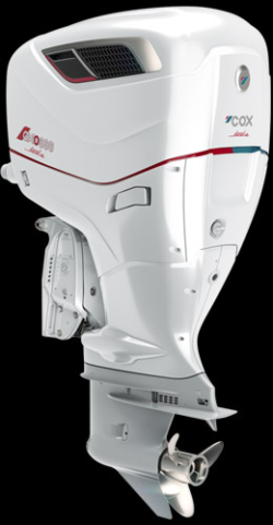 Diesel Outboard Engine (CXO300) - Cox - Image 2