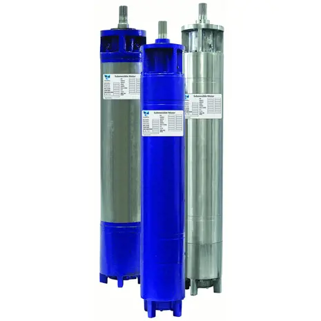 Submersible Motor - Goulds - Image 2